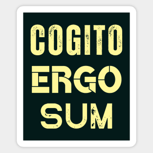 René Descartes quote: Cogito, ergo sum Sticker